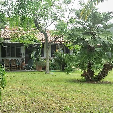 Villa Monserrato - Goelba Порт-Аццурро Экстерьер фото