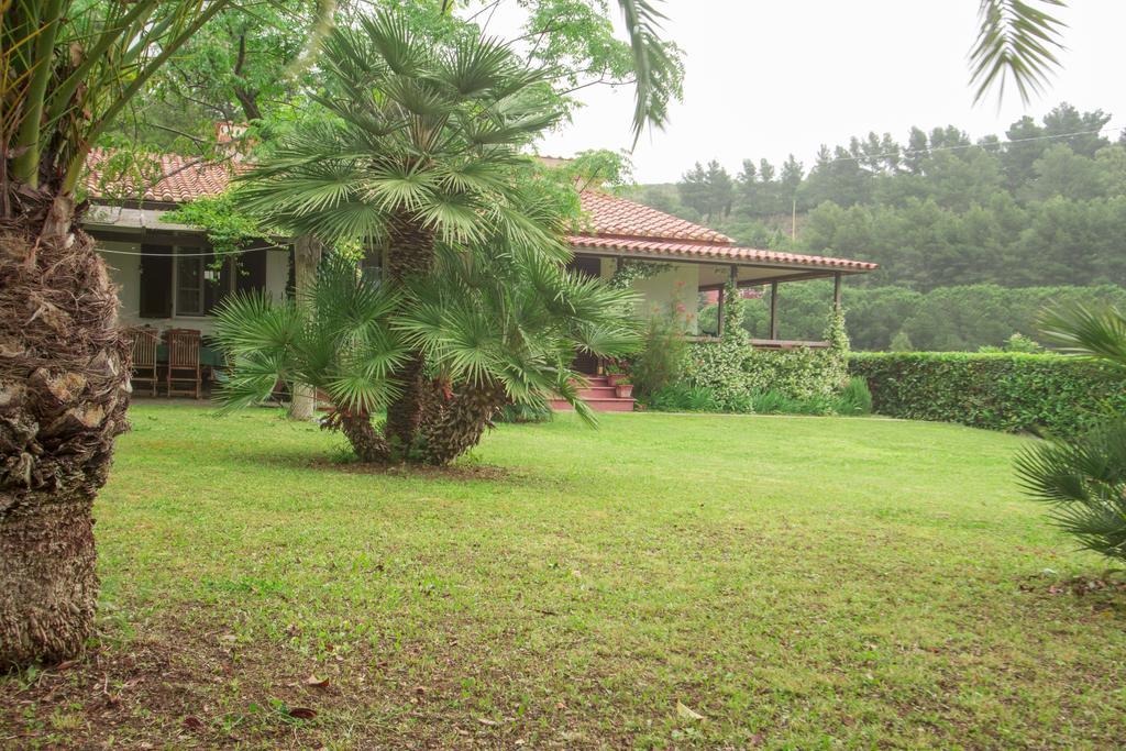 Villa Monserrato - Goelba Порт-Аццурро Экстерьер фото